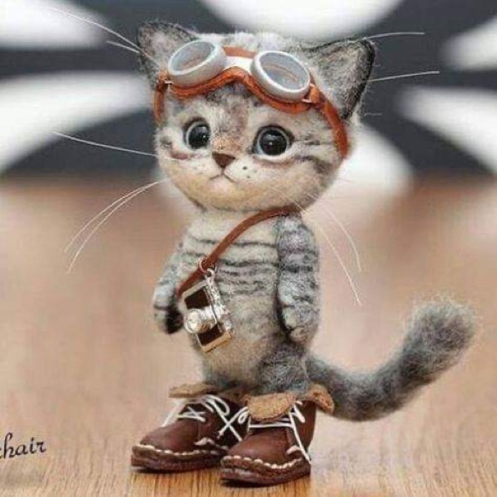 Meet your Posher, Gwendolyn